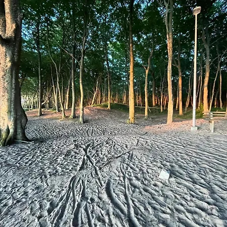 Apartmán Szept Morza