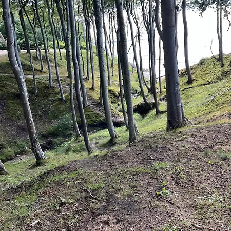 Szept Morza * Debina (Ustka)