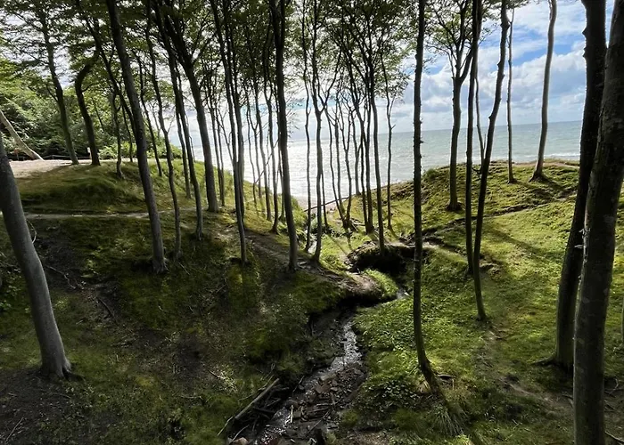 Szept Morza * Debina (Ustka)