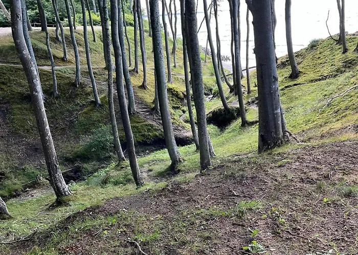 Szept Morza * Debina (Ustka)